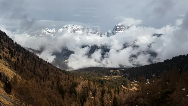 Skirejse til Madonna di Campiglio